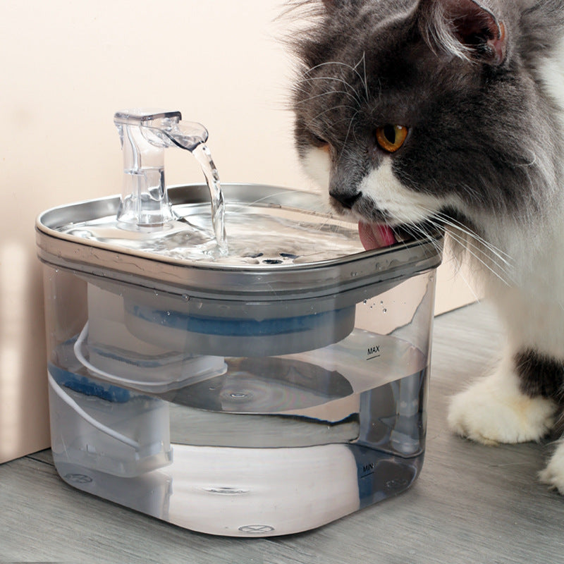 Fontaine à eau automatique en acier inoxydable pour animaux de compagnie, chat, chien, fontaine intelligente, accessoires pour animaux de compagnie