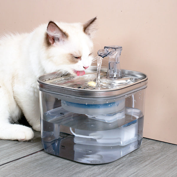 Fontaine à eau automatique en acier inoxydable pour animaux de compagnie, chat, chien, fontaine intelligente, accessoires pour animaux de compagnie